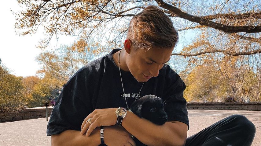 Hundewelpe namens Ghost: So glücklich ist Henrik Stoltenberg