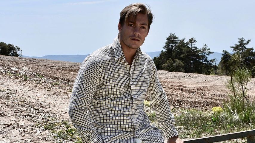 Henrik Stoltenberg, Influencer