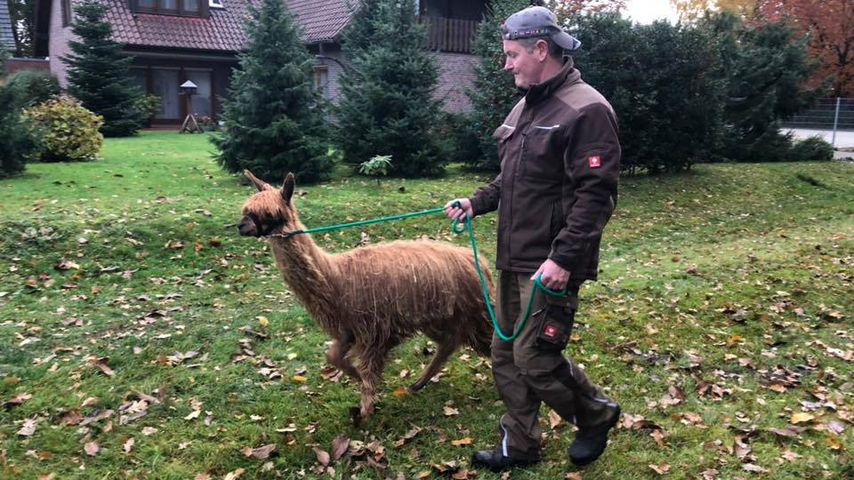 "Bauer sucht Frau"-Kandidat Henry im November 2018