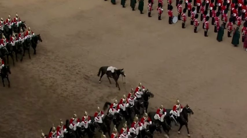 Herrenloses Pferd bei der "Trooping the Colour"