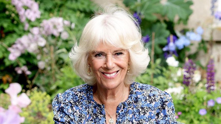 75. Geburtstag: Herzogin Camilla strahlt auf neuem Porträt!