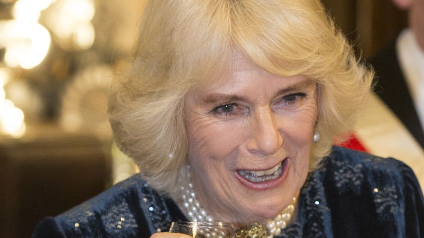 Herzogin Camilla, 2019