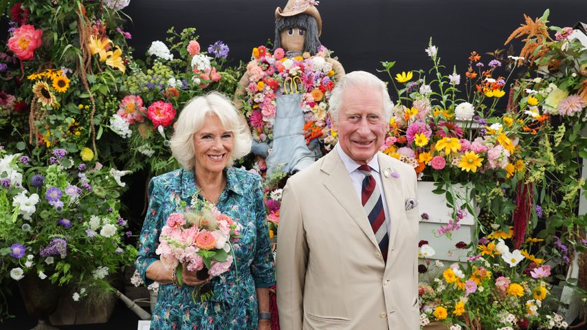 Neue Titel von Charles und Co.: Website der Royals angepasst