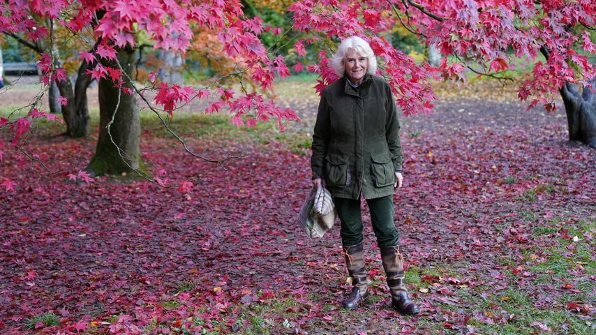 Herzogin Camilla im Oktober 2020