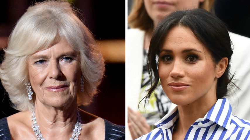 Verbündete: Riet Camilla Meghan wirklich zu Royal-Rückzug?