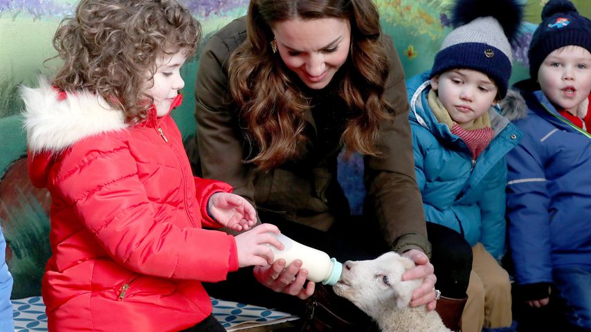 Herzogin Kate auf der Ark Open Farm in Newtownards