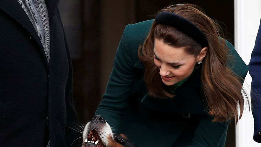 Herzogin Kate in Dublin, Irland