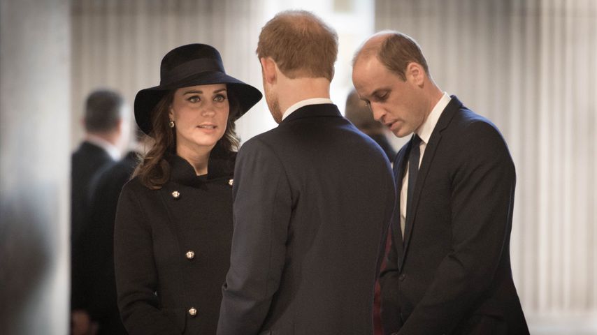 Prinz Harry & Kate: So gut verstehen sie sich wirklich