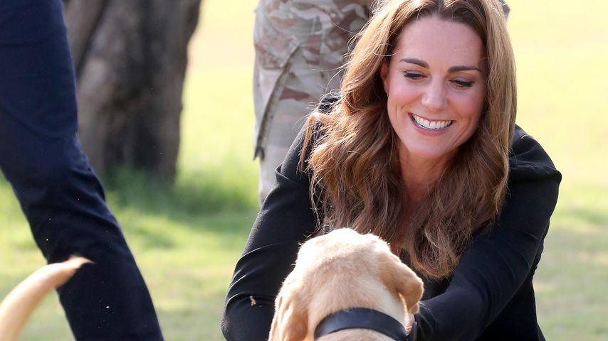 Herzogin Kate beim Besuch eines Hundetraining-Centers der Army