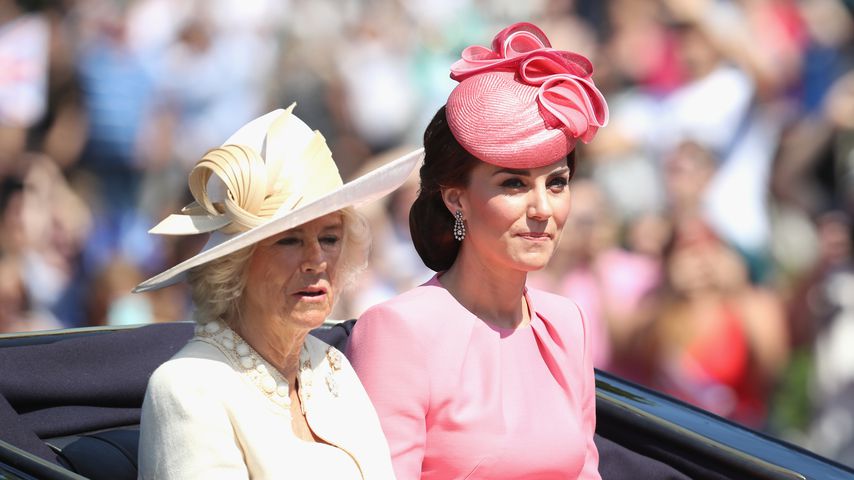Rührende Geste: Britische Royals rufen einsame Menschen an