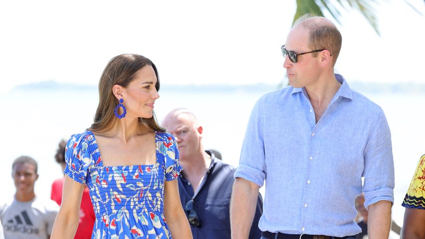 Große Pläne: Prinz William strebt royale Modernisierung an