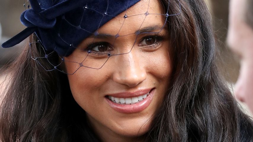 Holt Herzogin Meghan ihren alten Hund Bogart wieder zu sich?