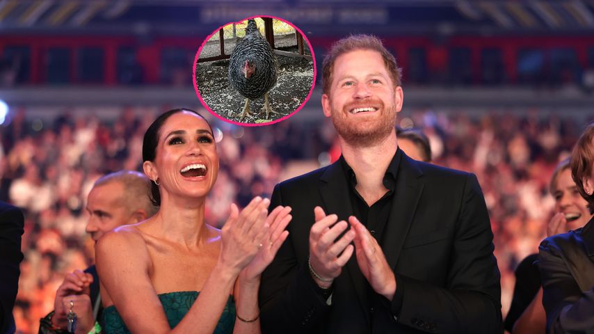 Herzogin Meghan und Prinz Harry