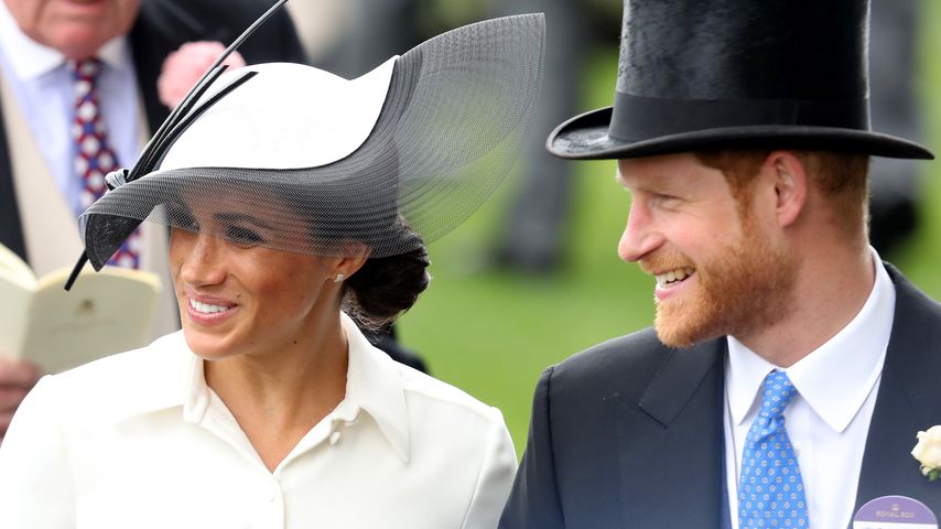 Schwanger-Gerüchte: Alle wollen Meghan als Mutter sehen!