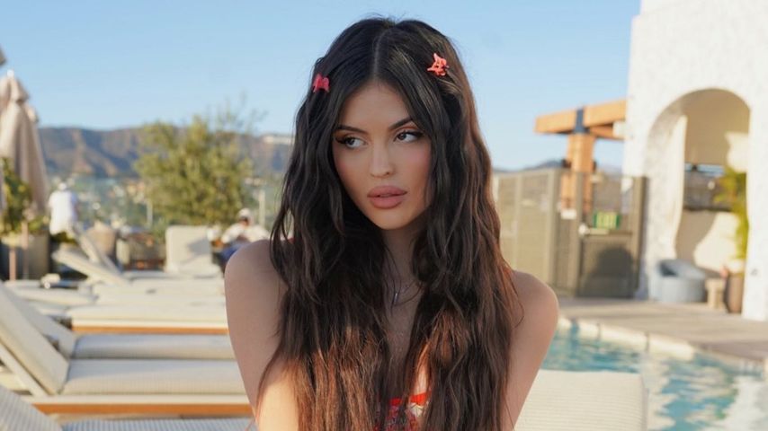 Holly Scarfone, Influencerin