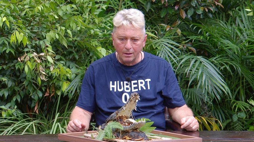 So viele Sterne erfuttert Hubert in letzter Dschungelprüfung