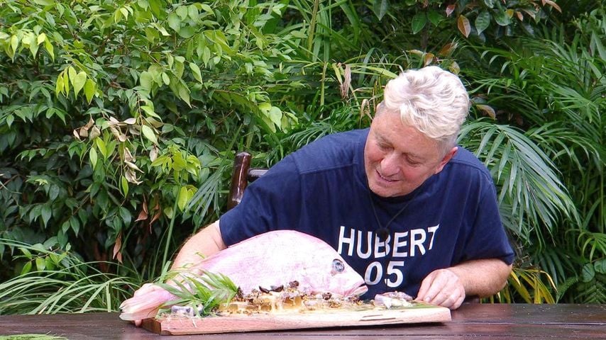 Hubert Fella, Dschungelcamp 2026