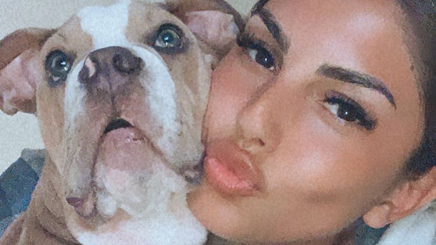 Vor Reise zu ihrem Jimi: Yeliz Koc' Hund zerkaut ihre Schuhe