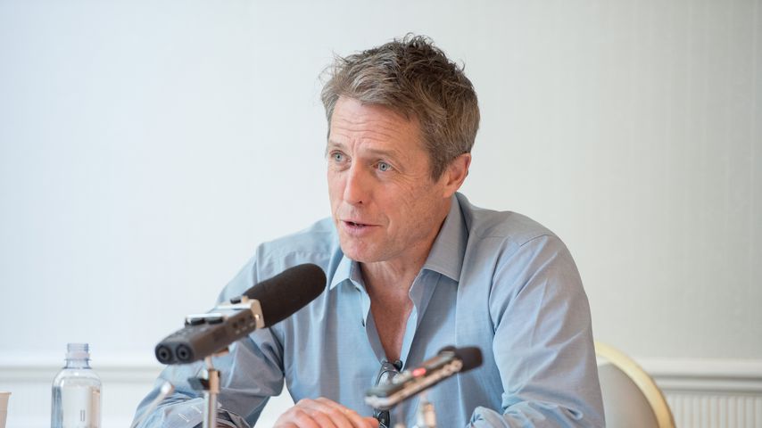 Two and a half Men: Hugh Grant Sheens Nachfolger?