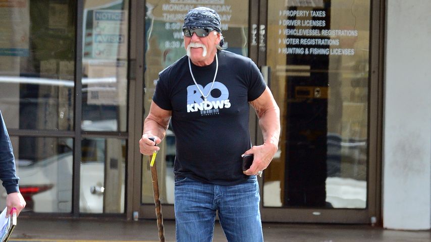 Hulk Hogan, ehemaliger Profi-Wrestler