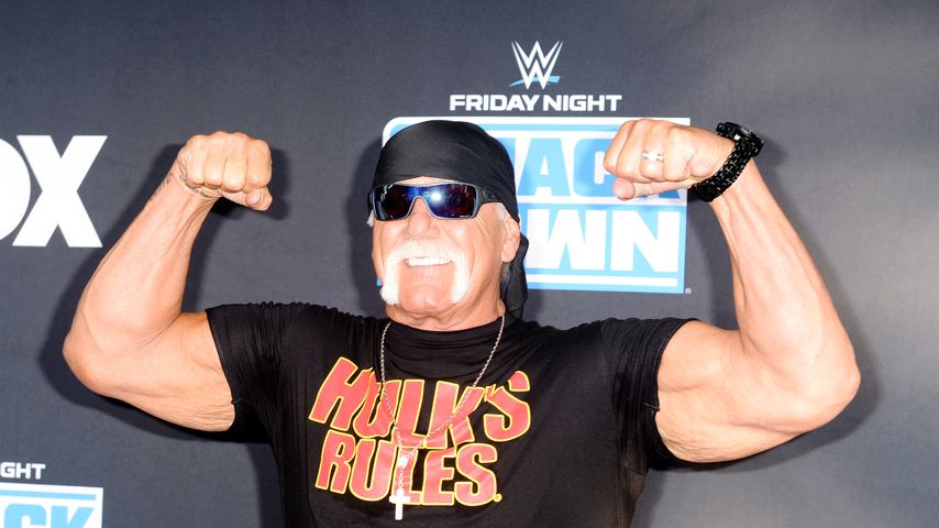 Hulk Hogan, Wrestler