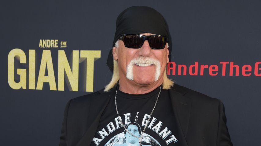 Schon im Herbst: Hulk Hogan hat sich scheiden lassen!