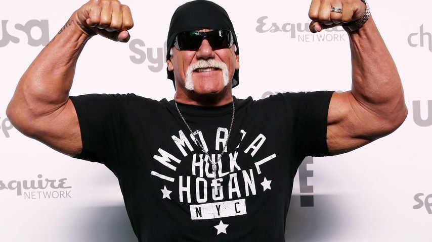 Hulk Hogan, Wrestling-Star