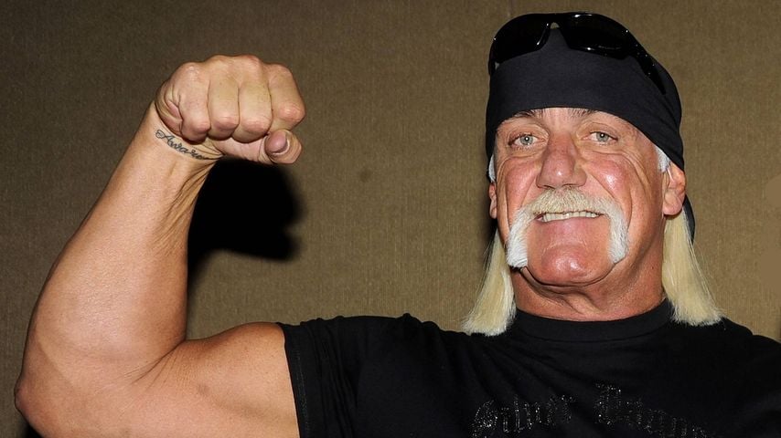 Hulk Hogan, 2008