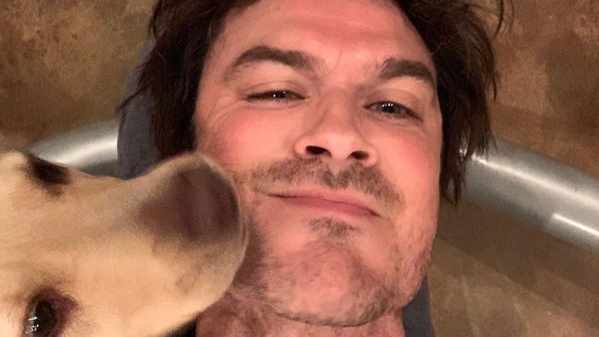 Ian Somerhalder mit seinem Hund, September 2019