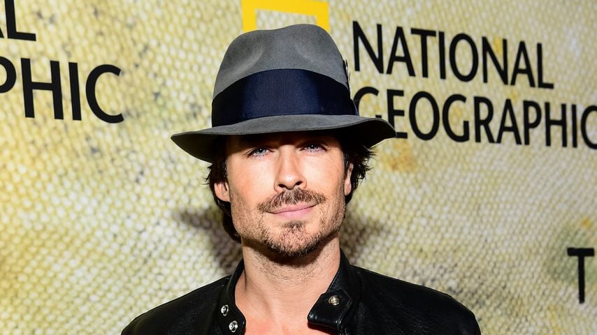 Ian Somerhalder bei der Premiere von "The Long Road Home"