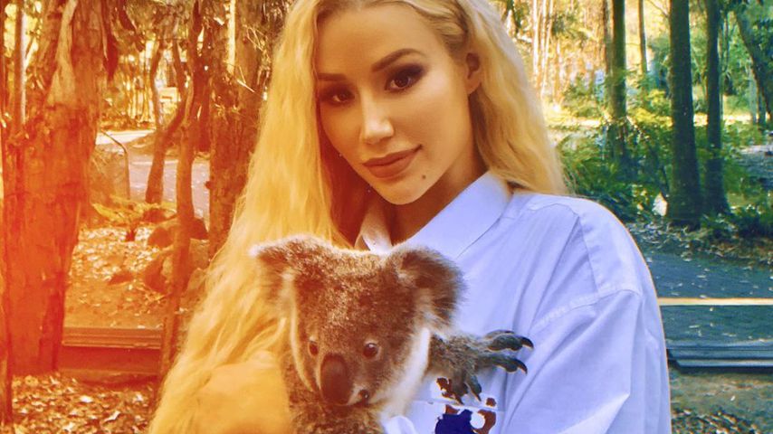 Koala-Kuscheln: Iggy Azalea sammelt Spenden für Tierklinik