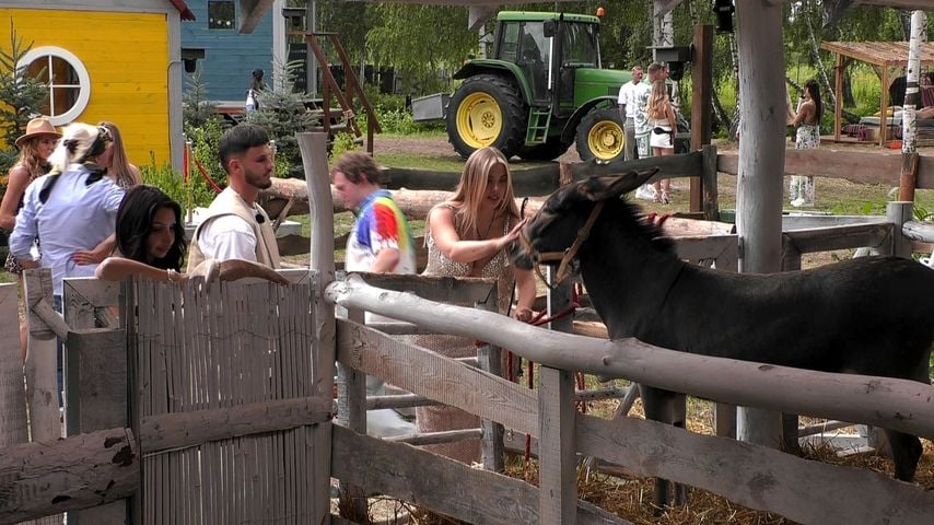 Pinar Sevim, Nino Sifkovits, Ina Kina und Co. bei "Der Promihof"