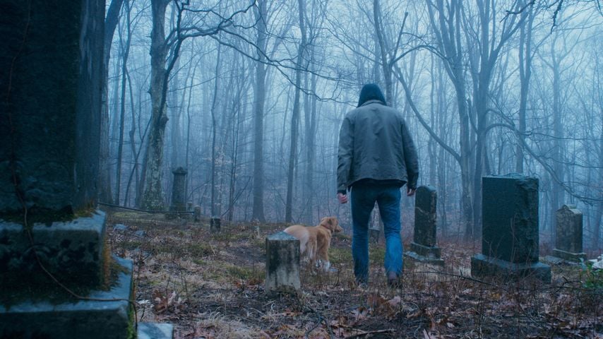 Indy in einer Szene aus "Good Boy", 2025