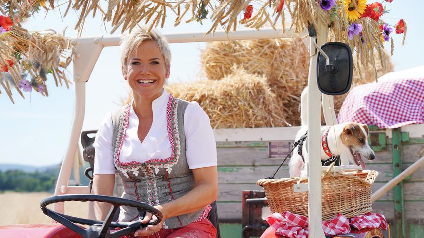 Mega-Quote: "Bauer sucht Frau"-Finale begeistert Zuschauer