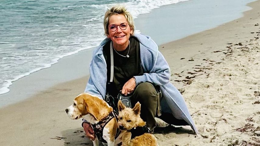 Inka Bause mit ihren Hunden im August 2023