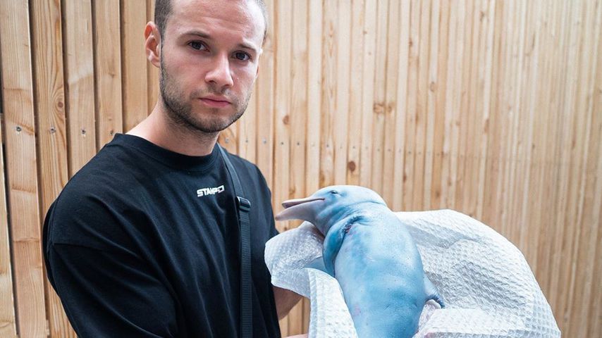 PR-Stunt: Alles zum Baby-Delfin-Skandal von Inscope21!