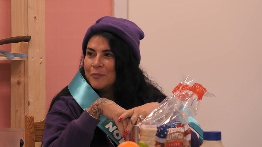 Iris Klein, TV-Star
