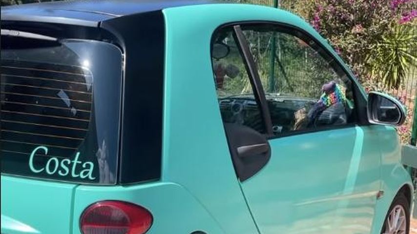 Costa Cordalis' Auto