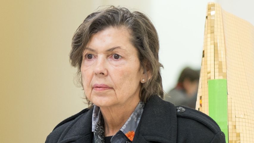 Isa Genzken, Künstlerin