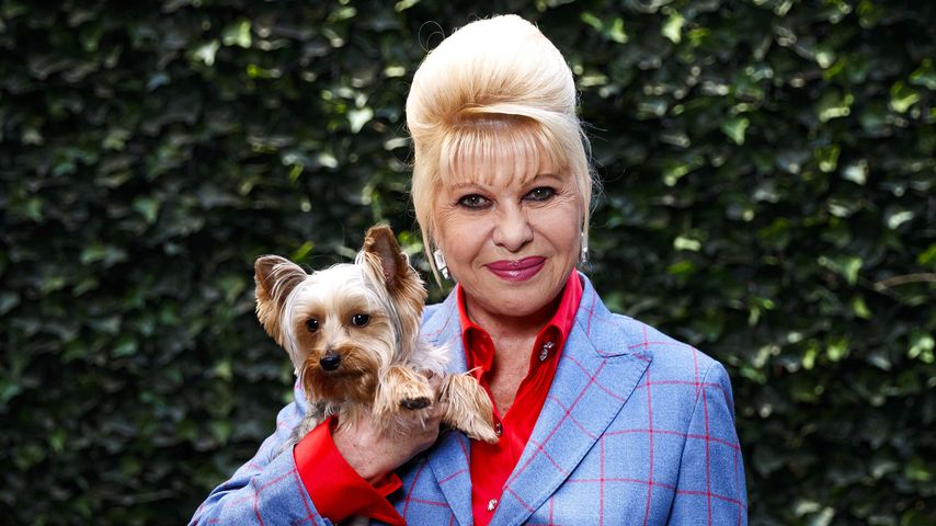 Nach Ivana Trumps Tod: Ihr Hund soll Millionenerbe bekommen