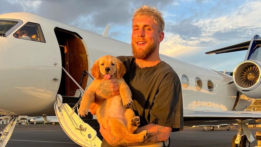 Jake Paul, Boxer