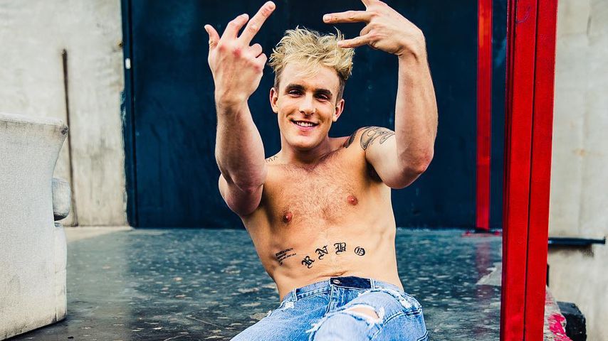 Jake Paul, Web-Star