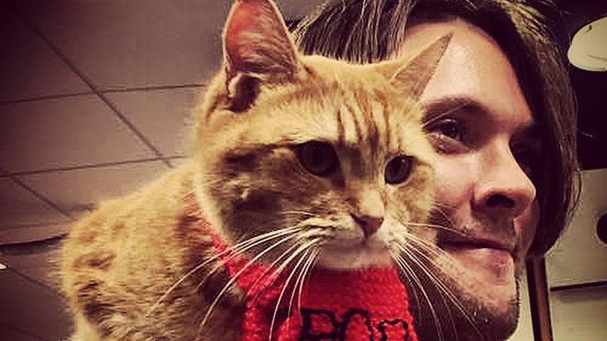 James Bowen mit Kater Bob