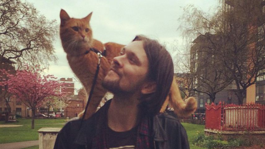 James Bowen mit seinem Kater Bob