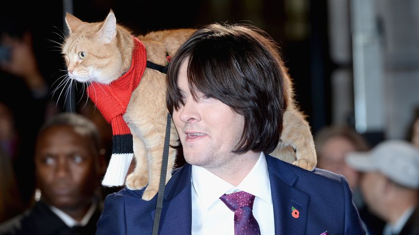 James Bowen mit seinem Kater Bob