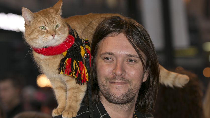 Pelziges Jubiläum: Bob, der Streuner feiert 10 Jahre Liebe