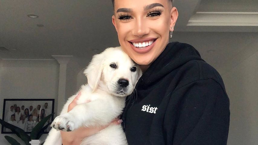 James Charles in L.A. im September 2019