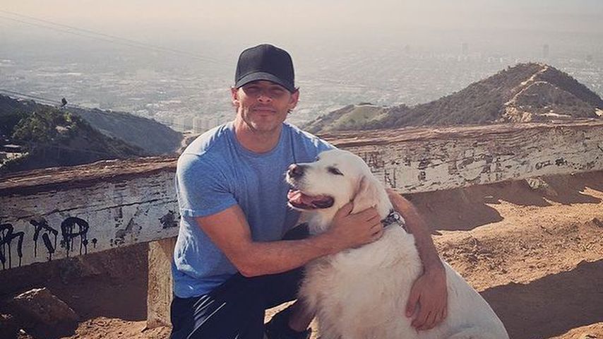 "Bester Freund": James Marsden trauert um seinen Hund Buddy