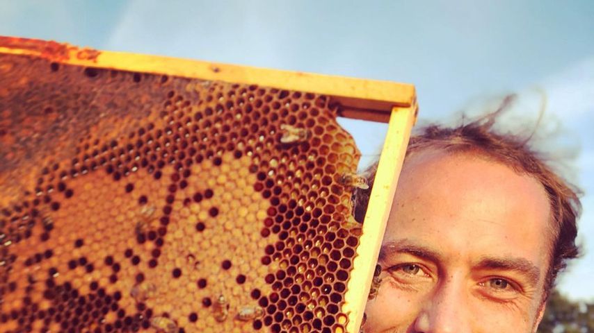 James Middleton mit seinen Bienenwaben, August 2019