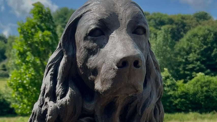 James Middletons Büste seiner Hündin Ella, August 2025